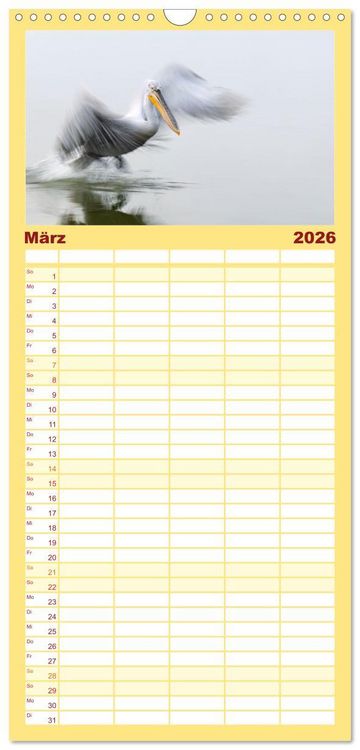 Produktbild: Familienplaner 2026 - Krauskopfpelikane mit 5 Spalten (Wandkalender, 21 x 45 cm) CALVENDO