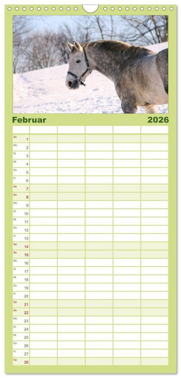 Produktbild: Familienplaner 2026 - Faszination Pferde mit 5 Spalten (Wandkalender, 21 x 45 cm) CALVENDO