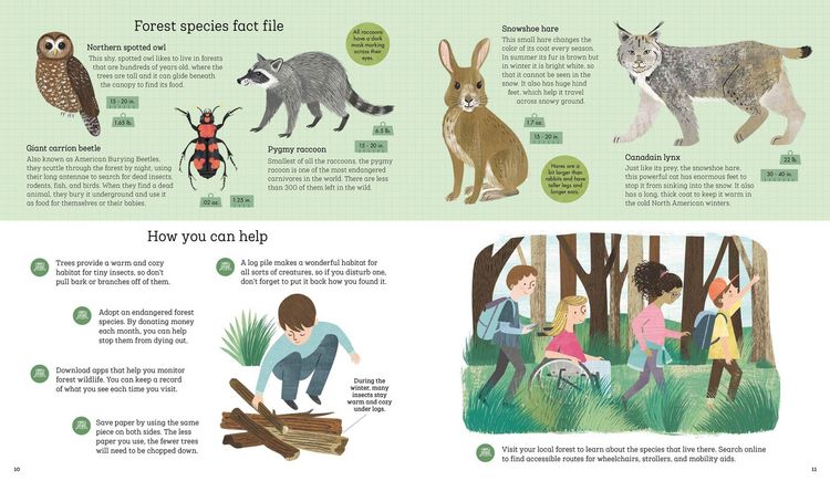 Produktbild: How to Help a Hare and Protect a Polar Bear