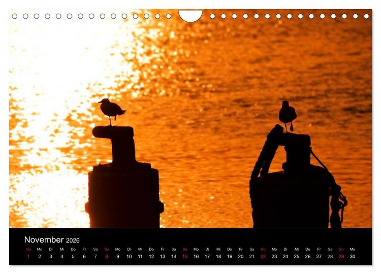 Produktbild: D&auml;nemarks Nordseek&uuml;ste (Wandkalender 2026 DIN A4 quer), CALVENDO Monatskalender