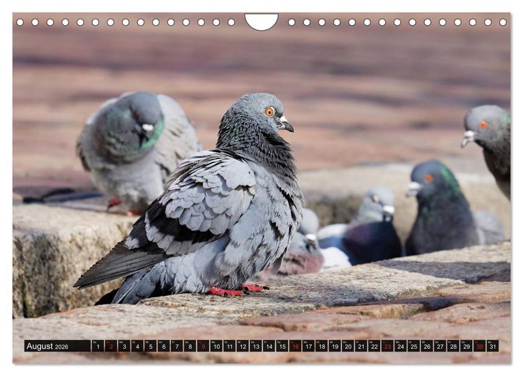 Produktbild: Abneigung und Ekel. Die unbeliebtesten Tiere (Wandkalender 2026 DIN A4 quer), CALVENDO Monatskalender