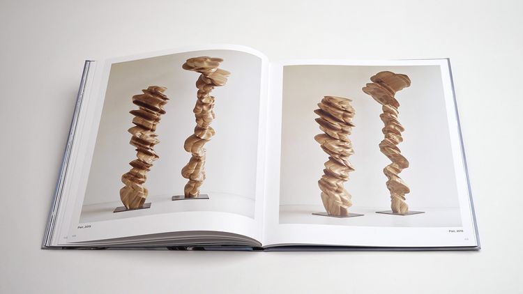 Produktbild: Tony Cragg: Points of View