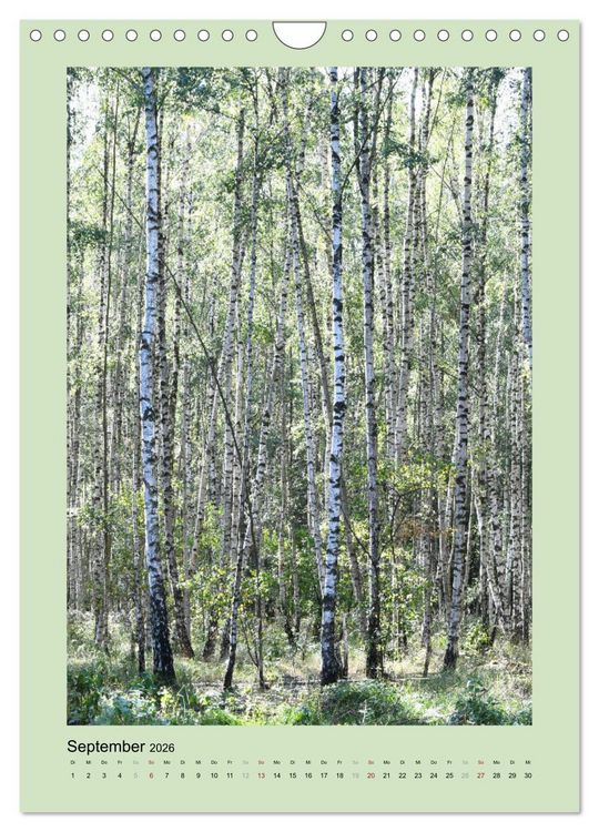 Produktbild: Jahreszeiten (Wandkalender 2026 DIN A4 hoch), CALVENDO Monatskalender