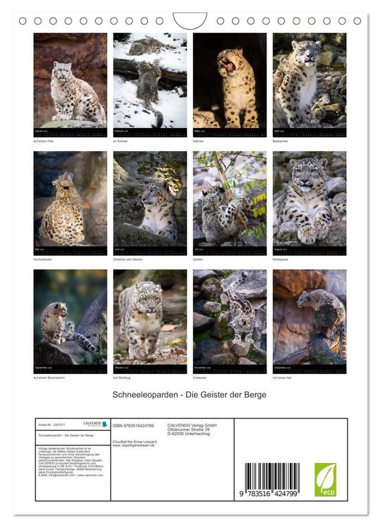 Produktbild: Schneeleoparden - Die Geister der Berge (Wandkalender 2026 DIN A4 hoch), CALVENDO Monatskalender