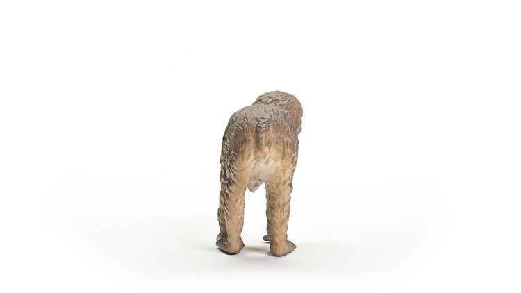 Produktbild: schleich&reg; Wild Life Japanmakak 5,5cm