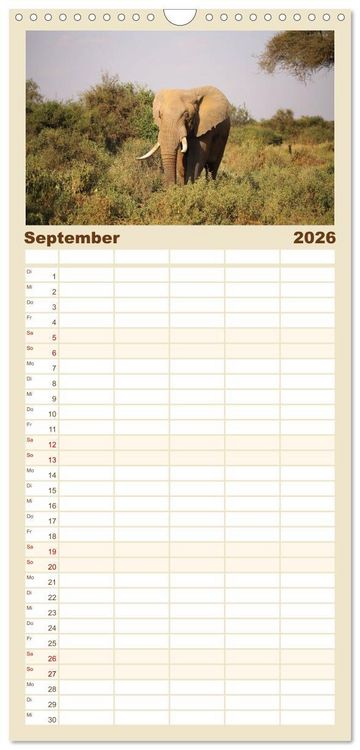 Produktbild: Familienplaner 2026 - Kenias wilde Elefanten mit 5 Spalten (Wandkalender, 21 x 45 cm) CALVENDO