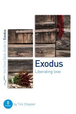 Produktbild: Exodus: Liberating Love