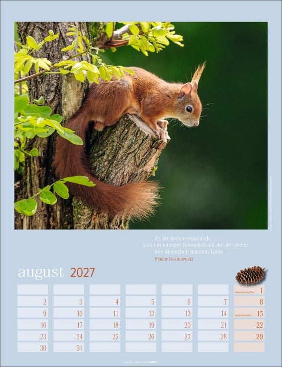 Produktbild: Eichh&ouml;rnchen Kalender 2027