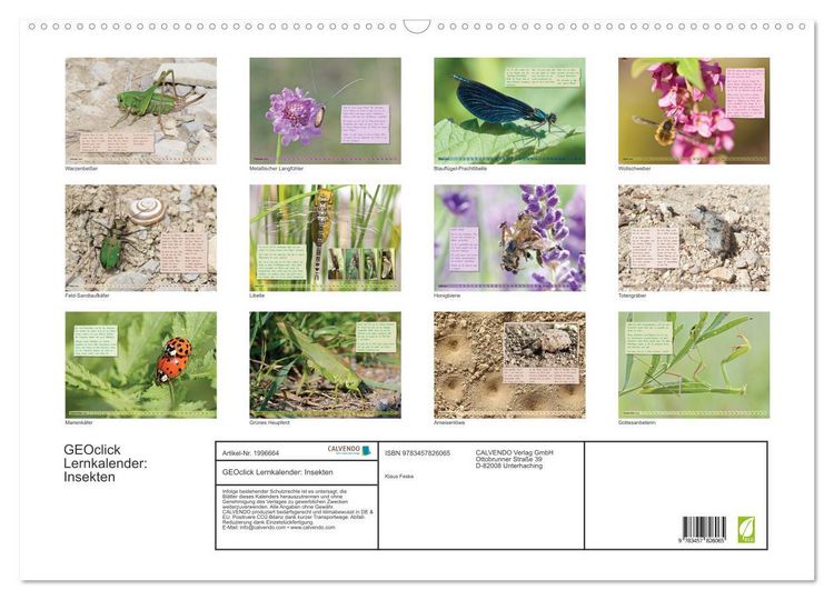 Produktbild: GEOclick Lernkalender: Insekten (Wandkalender 2026 DIN A2 quer), CALVENDO Monatskalender