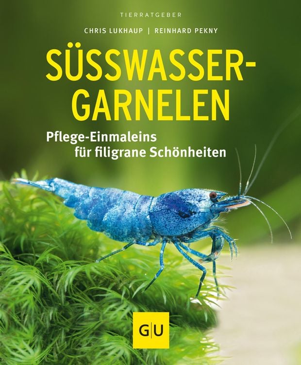 Bild vom Artikel Süßwasser-Garnelen vom Autor Chris Lukhaup