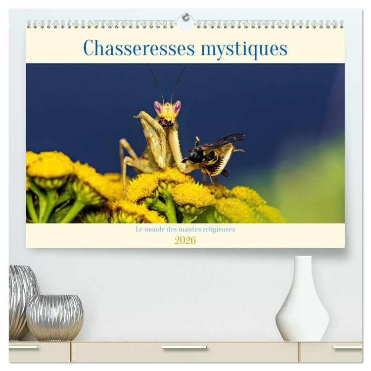 Produktbild: Chasseresses mystiques (Calendrier mural 2026 DIN A2 vertical) calendrier de bureau