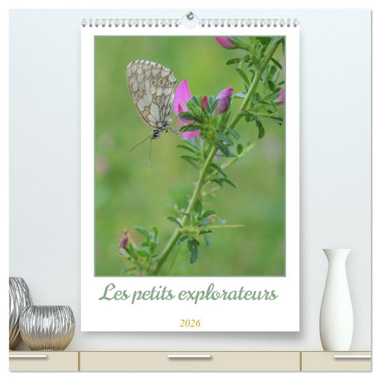 Produktbild: Les petits explorateurs (Calendrier mural 2026 DIN A2 horizontal) calendrier de bureau
