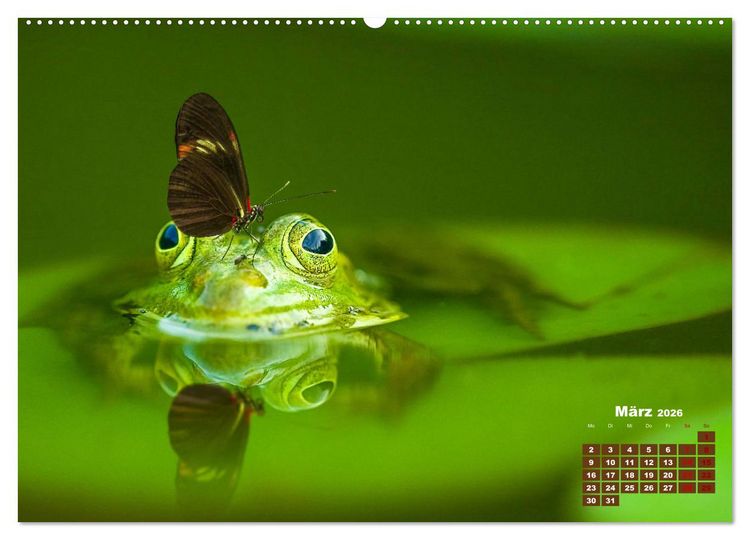 Produktbild: Tiere in freier Wildbahn by VogtArt (hochwertiger Premium Wandkalender 2026 DIN A2 quer), Kunstdruck in Hochglanz