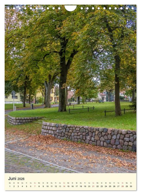 Produktbild: BERLIN L&Uuml;BARS jwd (Wandkalender 2026 DIN A4 hoch), CALVENDO Monatskalender