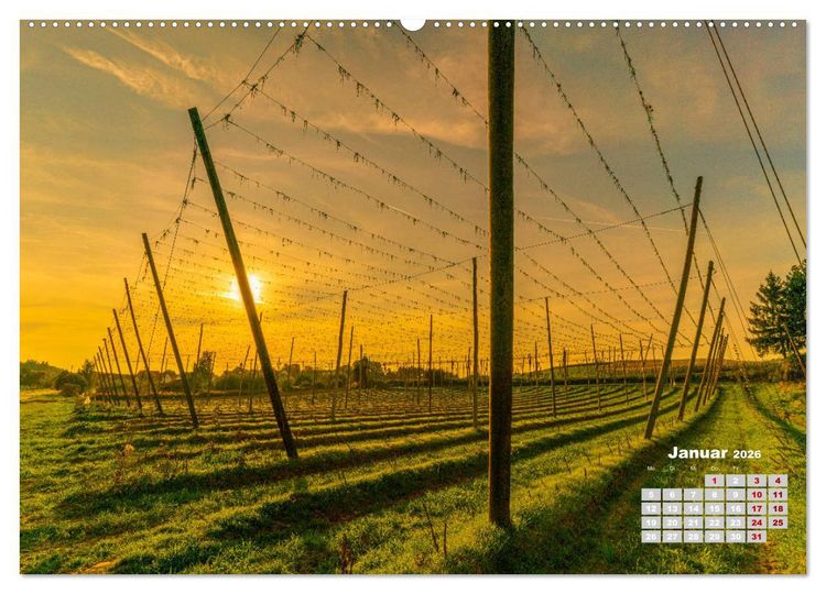 Produktbild: Hopfenland Holledau (hochwertiger Premium Wandkalender 2026 DIN A2 quer), Kunstdruck in Hochglanz