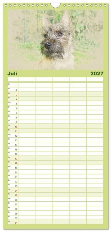 Produktbild: Familienplaner 2027 - Hundewelpen 2027 mit 5 Spalten (Wandkalender, 21 x 45 cm) CALVENDO