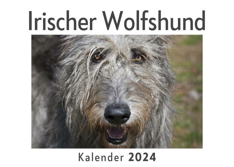 Produktbild: Irischer Wolfshund (Wandkalender 2024, Kalender DIN A4 quer, Monatskalender im Querformat mit Kalendarium, Das perfekte Geschenk)