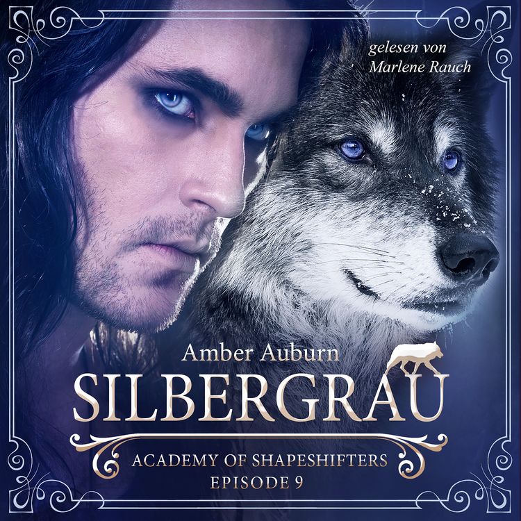 Produktbild: Silbergrau, Episode 9 - Fantasy-Serie