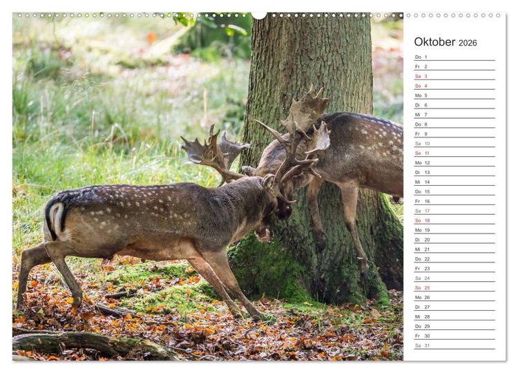 Produktbild: Emotionale Momente: Wild und Jagd. (Wandkalender 2026 DIN A2 quer), CALVENDO Monatskalender