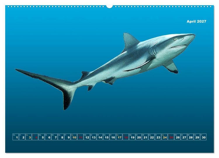 Produktbild: Unterwasser-Galerie (hochwertiger Premium Wandkalender 2027 DIN A2 quer), Kunstdruck in Hochglanz