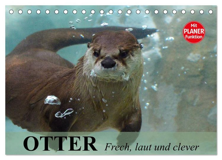 Produktbild: Otter. Frech, laut und clever (Tischkalender 2026 DIN A5 quer), CALVENDO Monatskalender