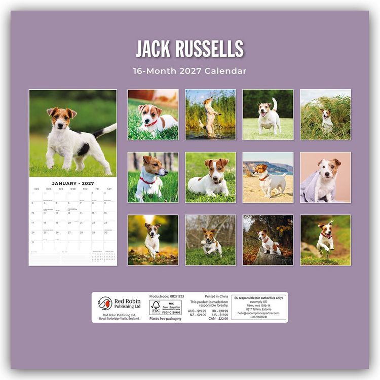 Produktbild: Jack Russells &ndash; Jack Russell Terrier 2027 &ndash; 16-Monatskalender