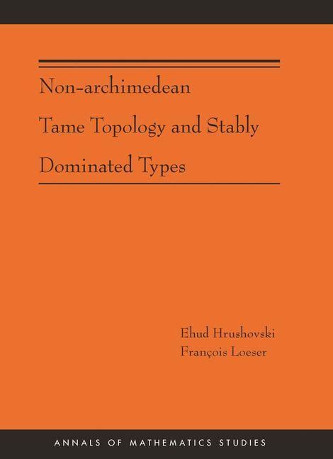 Produktbild: Non-Archimedean Tame Topology and Stably Dominated Types (AM-192)
