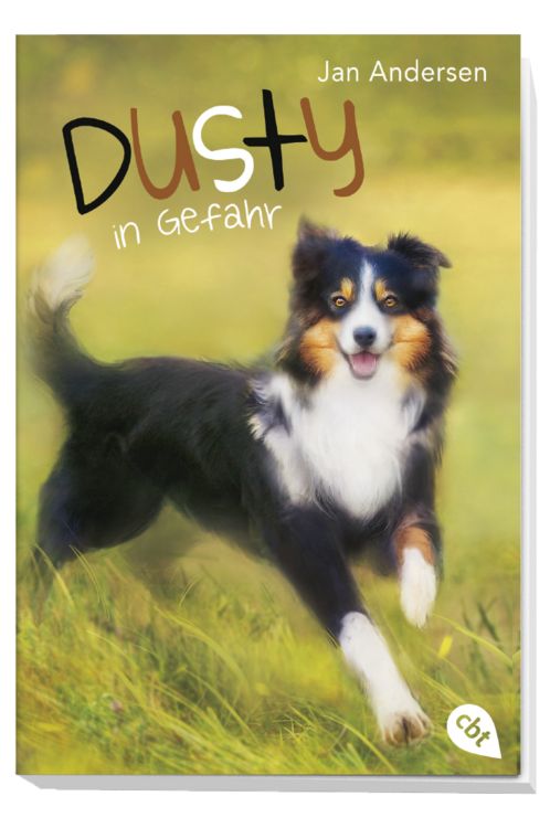 Produktbild: Dusty in Gefahr