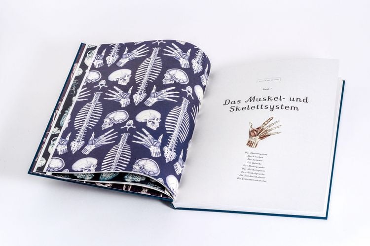 Produktbild: Das Museum des K&ouml;rpers