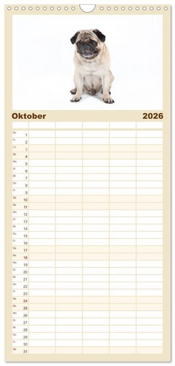 Produktbild: Familienplaner 2026 - Mops - unwiderstehlich und charmant mit 5 Spalten (Wandkalender, 21 x 45 cm) CALVENDO