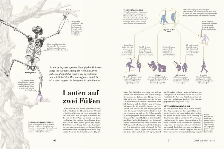 Produktbild: HUMANS. Der Mensch