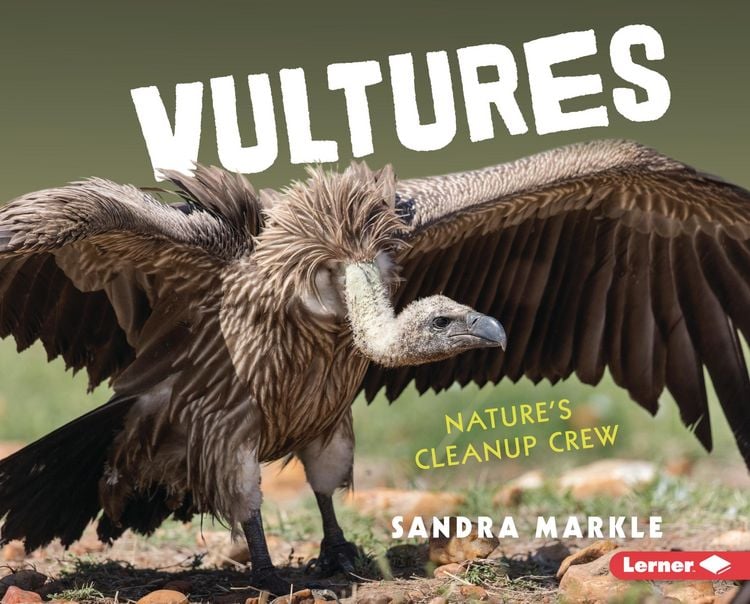 Produktbild: Vultures