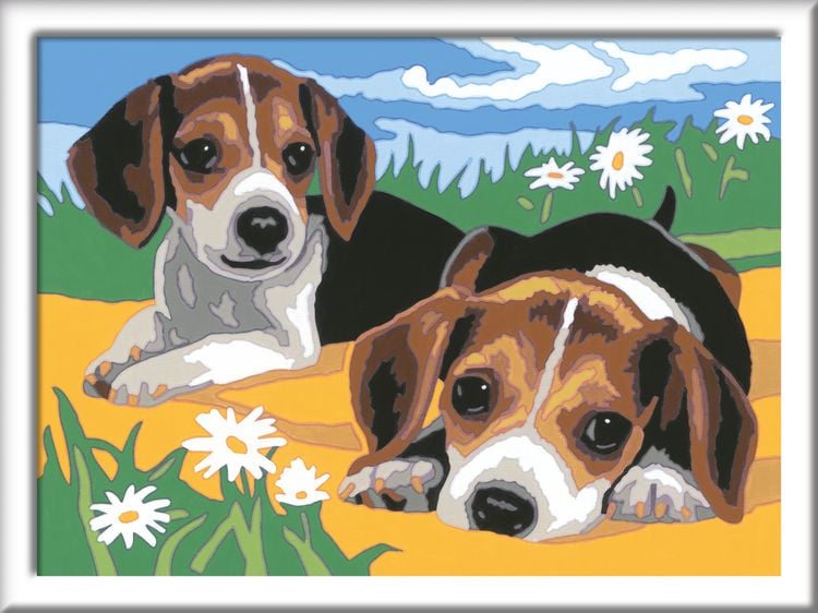 Produktbild: Ravensburger Malen nach Zahlen, Jack Russel Welpen, Malset