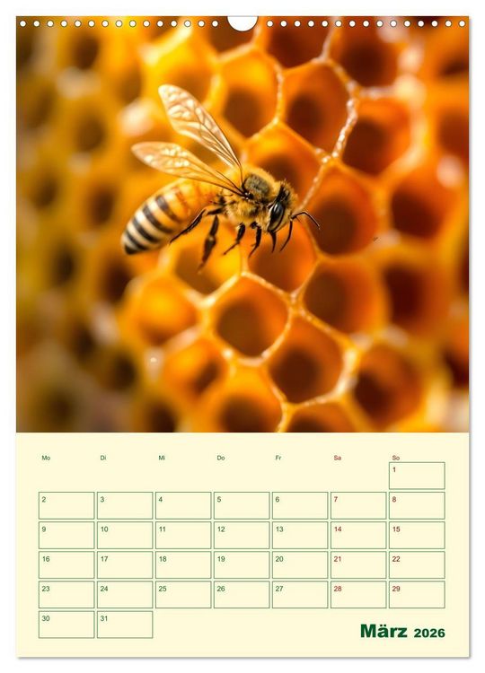 Produktbild: Bienenblick &ndash; Ein Jahr mit den Bienen (Wandkalender 2026 DIN A3 hoch), CALVENDO Monatskalender