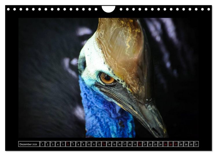 Produktbild: Australia Wildlife (Wandkalender 2026 DIN A4 quer), CALVENDO Monatskalender