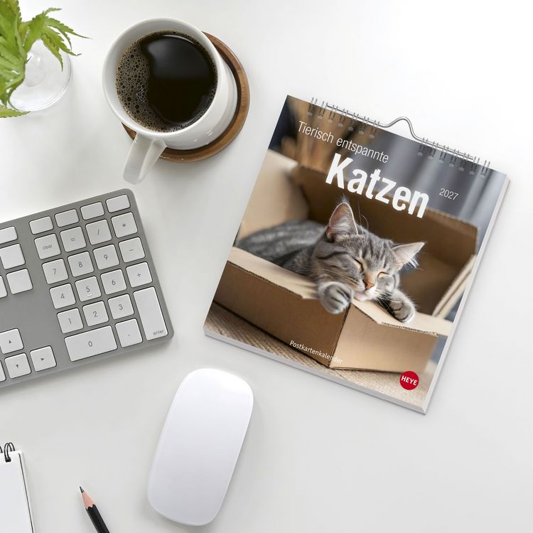 Produktbild: Tierisch entspannte Katzen Postkartenkalender 2027