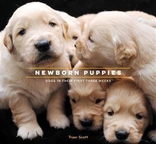 Produktbild: Newborn Puppies