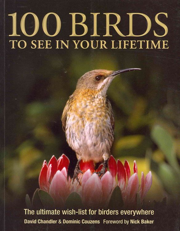 Produktbild: Chandler, D: 100 Birds to See in Your Lifetime