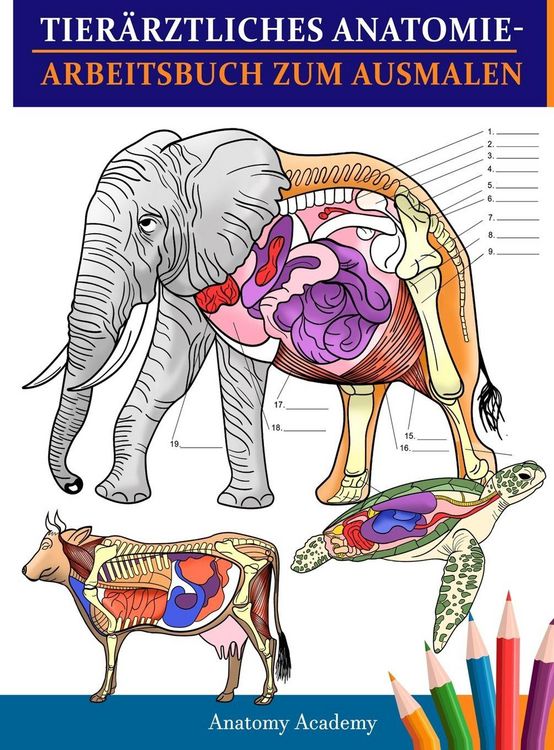 Produktbild: Tier&auml;rztliches Anatomie-Arbeitsbuch zum Ausmalen