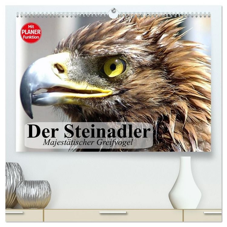 Produktbild: Der Steinadler. Majest&auml;tischer Greifvogel (hochwertiger Premium Wandkalender 2026 DIN A2 quer), Kunstdruck in Hochglanz