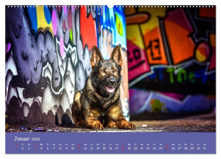Produktbild: Hunde und Graffiti (hochwertiger Premium Wandkalender 2026 DIN A2 quer), Kunstdruck in Hochglanz