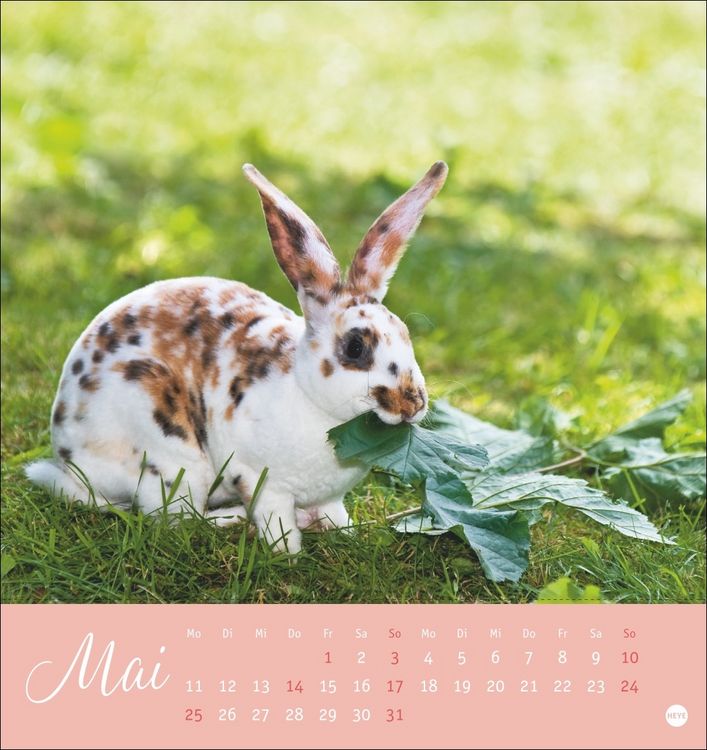 Produktbild: S&uuml;&szlig;e Kaninchen Postkartenkalender 2026