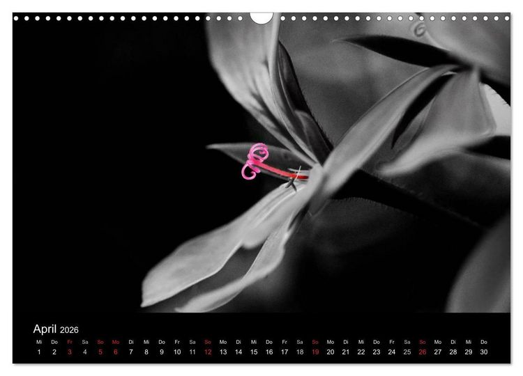 Produktbild: Farbtupfer (Wandkalender 2026 DIN A3 quer), CALVENDO Monatskalender
