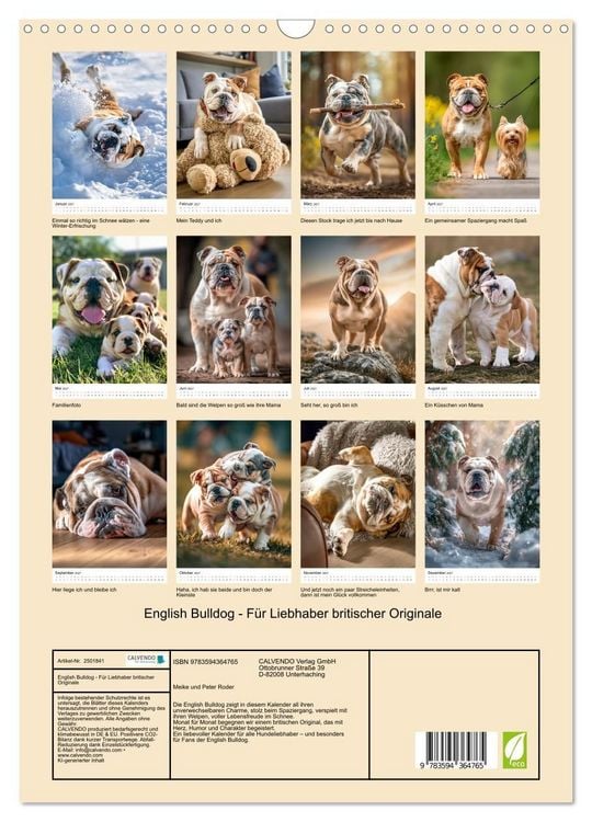 Produktbild: English Bulldog - F&uuml;r Liebhaber britischer Originale (Wandkalender 2027 DIN A3 hoch), CALVENDO Monatskalender