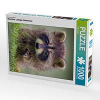 Produktbild: CALVENDO Puzzle Ein Motiv aus dem Kalender Waschb&auml;r - putziger Allesfresser | 1000 Teile Lege-Gr&ouml;&szlig;e 64x48cm Foto-Puzzle f&uuml;r gl&uuml;ckliche Stunden