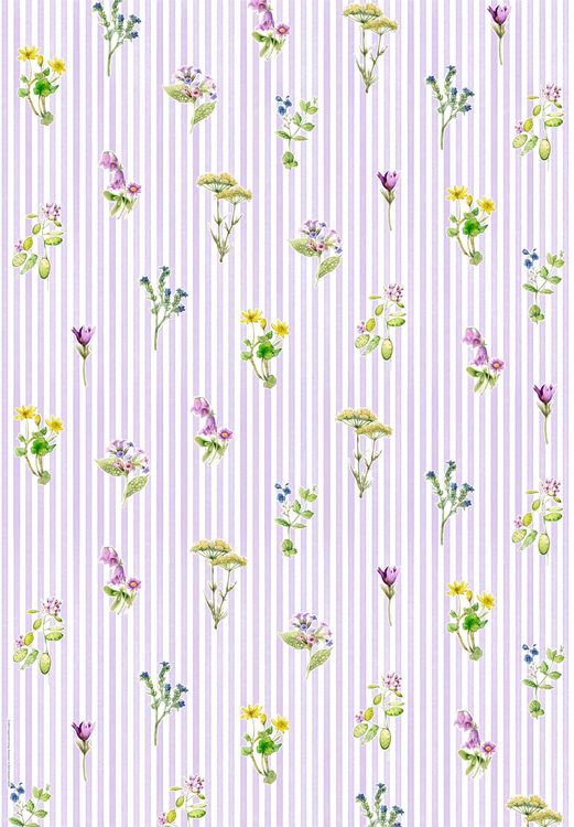 Produktbild: Geschenkpapier-Buch: Sch&ouml;ner Schenken - GartenLiebe (Bastin)