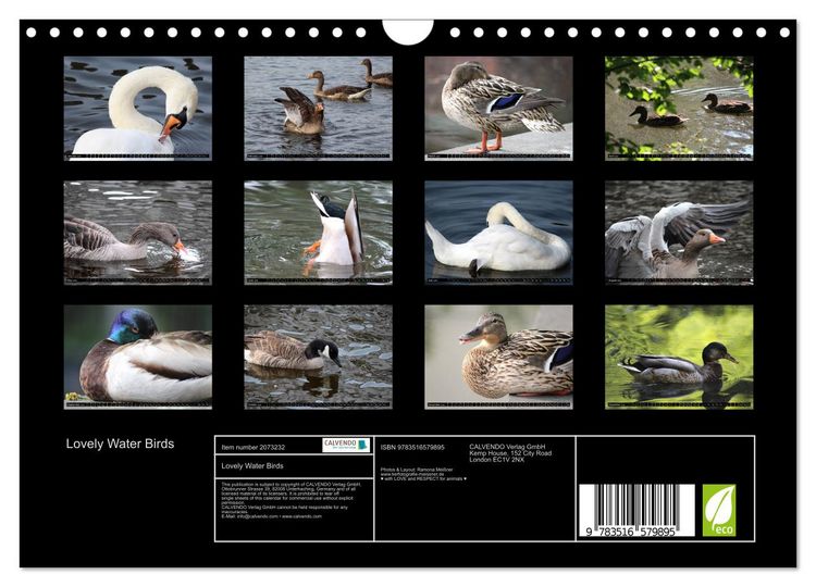 Produktbild: Lovely Water Birds (Wall Calendar 2026 DIN A4 landscape), CALVENDO 12 Month Wall Calendar