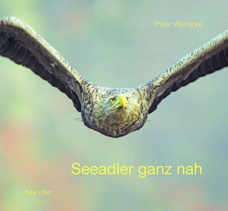 Produktbild: Seeadler ganz nah