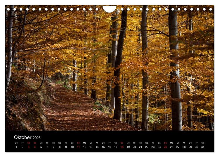 Produktbild: Harz-Bilder (Wandkalender 2026 DIN A4 quer), CALVENDO Monatskalender