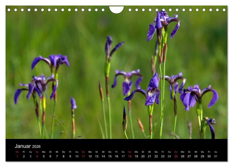 Produktbild: Sibirien- Impressionen von der Lena (Wandkalender 2026 DIN A4 quer), CALVENDO Monatskalender